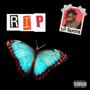 青青青国产在线观看免费
